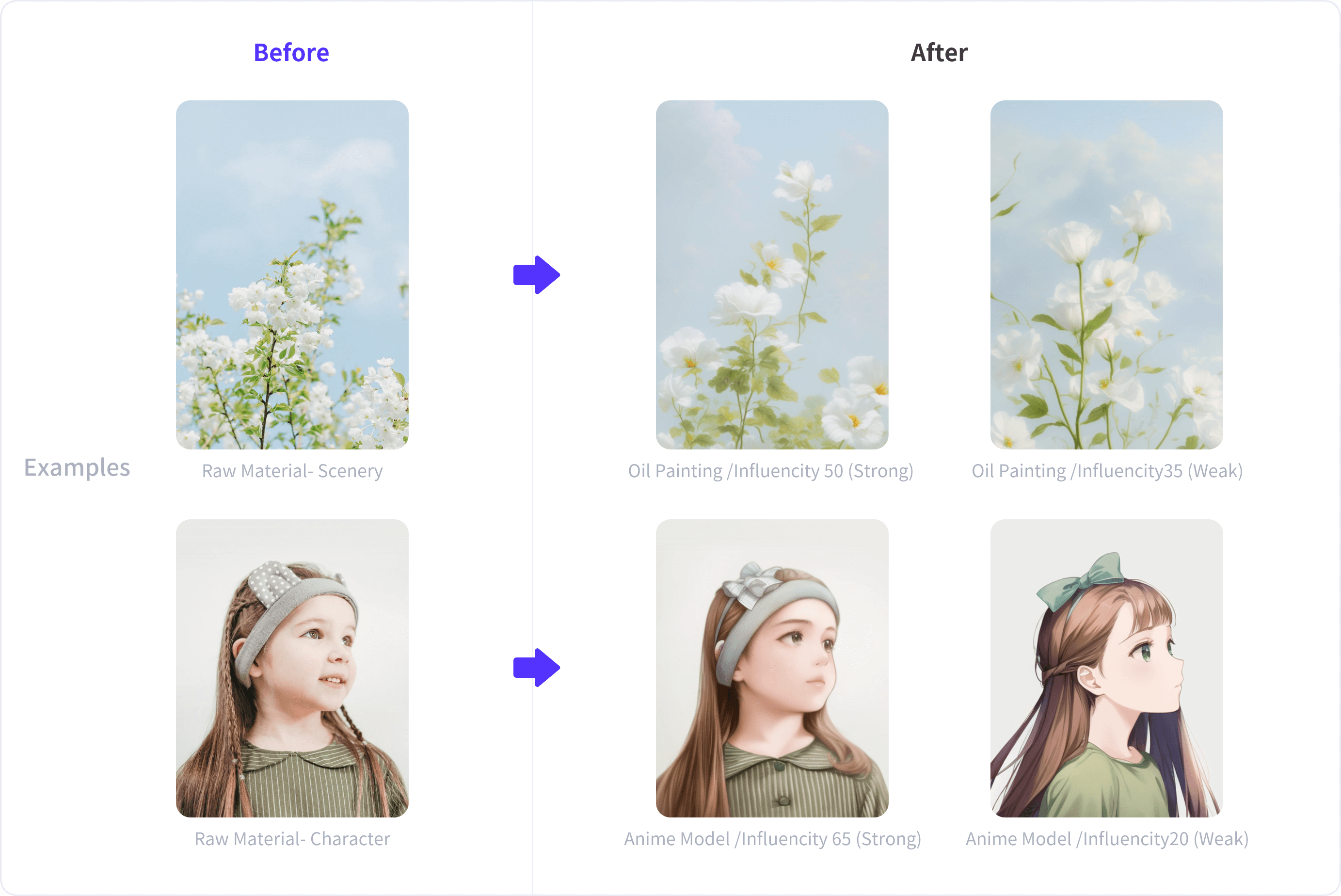 Transpic - A tool to customize the effects of images transfer guide
