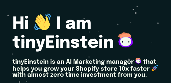 tinyEinstein - A platform as marketing manager for Shopify stores